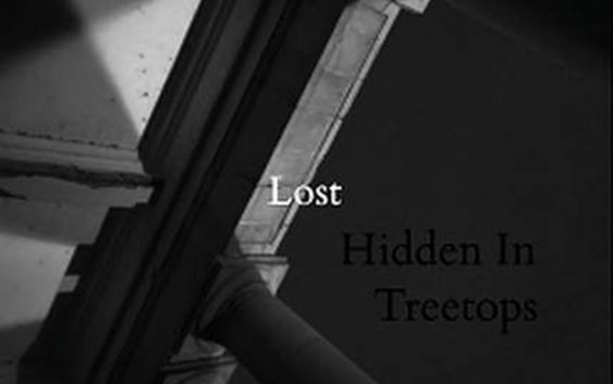 HIDDEN IN TREETOPS -Lost (Tape Review)
