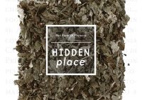 Hidden Place – “Nei Versi di Prévert” 7” release review